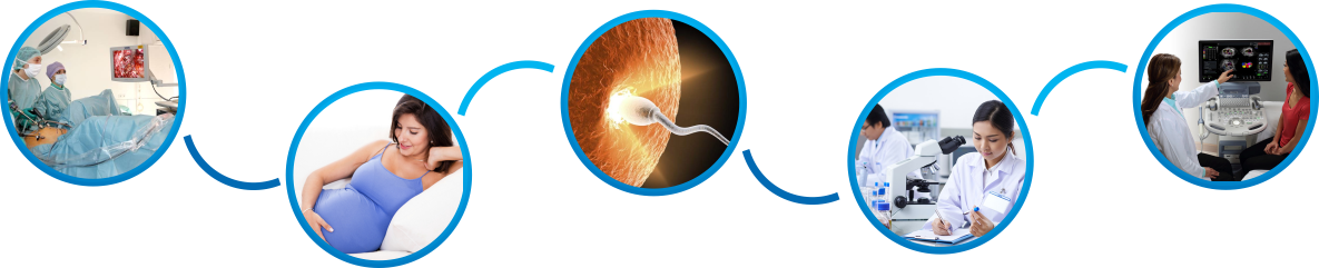 Nikam Hospital Vinyle